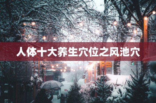 人体十大养生穴位之风池穴
