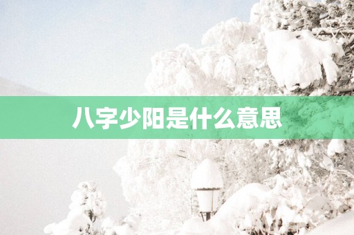 八字少阳是什么意思