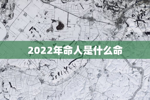 2026年命人是什么命