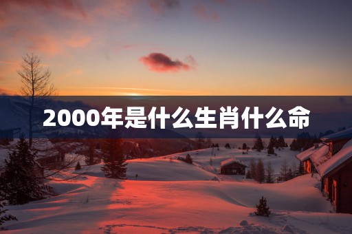 2000年是什么生肖什么命
