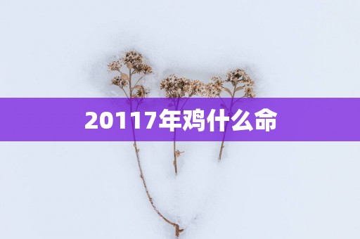 20117年鸡什么命