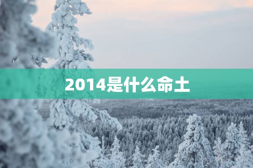 2014是什么命土
