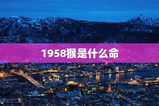 1958猴是什么命