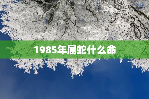 1985年属蛇什么命