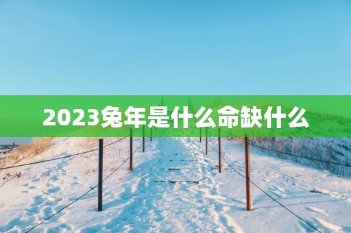 2025蛇年是什么命缺什么