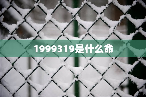 1999319是什么命