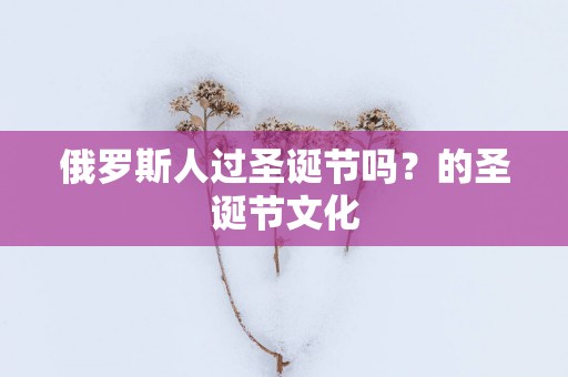 俄罗斯人过圣诞节吗？的圣诞节文化