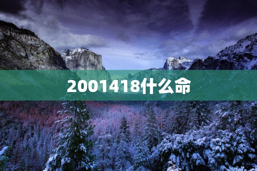 2001418什么命