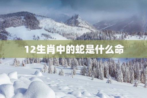 12生肖中的蛇是什么命