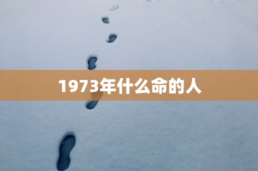 1973年什么命的人
