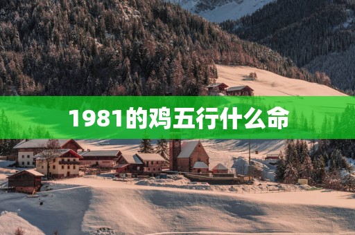 1981的鸡五行什么命
