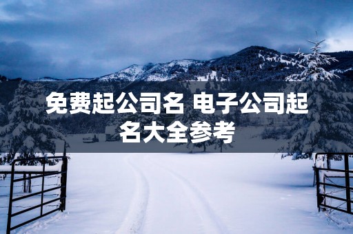 免费起公司名 电子公司起名大全参考