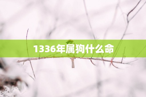 1336年属狗什么命
