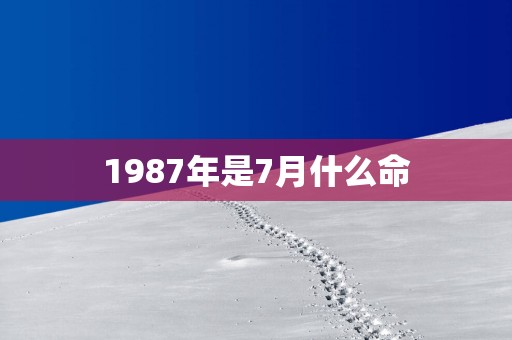 1987年是7月什么命