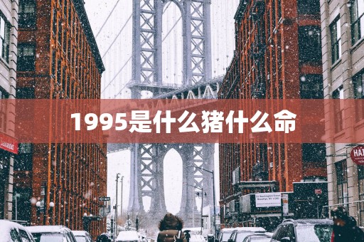1995是什么猪什么命