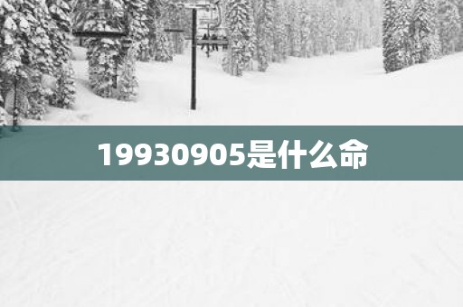 19930905是什么命
