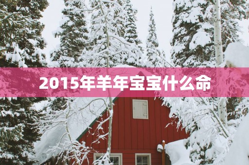 2015年羊年宝宝什么命