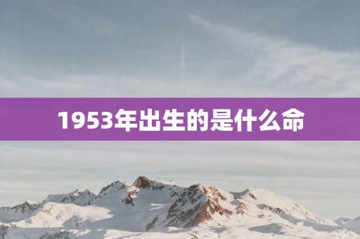 1953年出生的是什么命