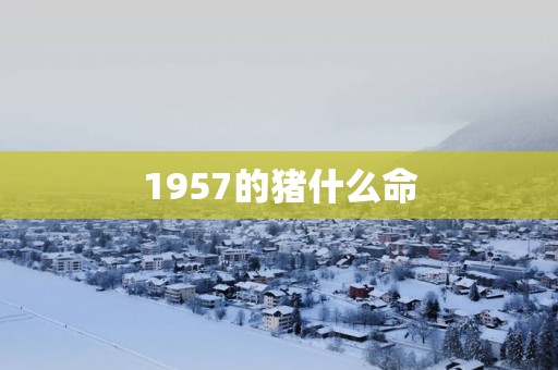 1957的猪什么命