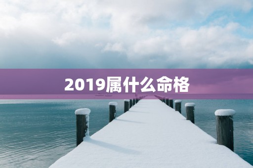 2019属什么命格