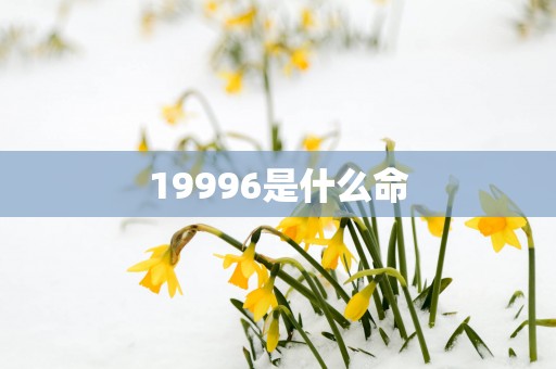19996是什么命
