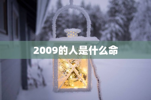 2009的人是什么命