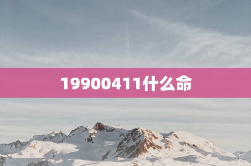 19900411什么命