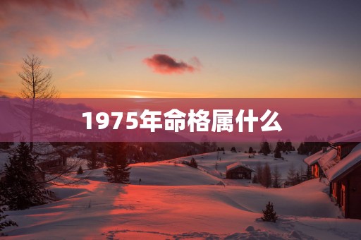 1975年命格属什么