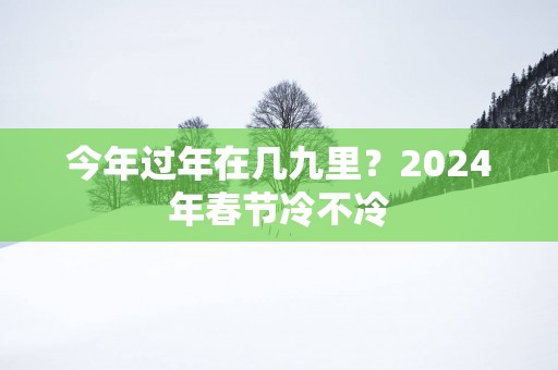 今年过年在几九里？2025年春节冷不冷