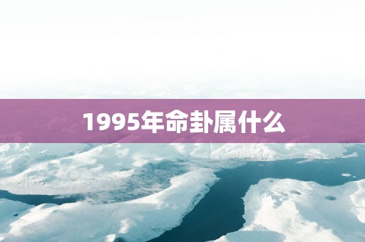 1995年命卦属什么