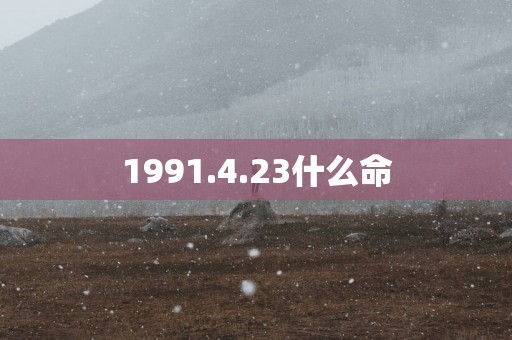 1991.4.23什么命