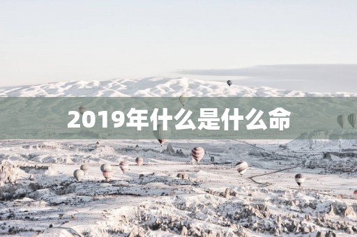 2019年什么是什么命