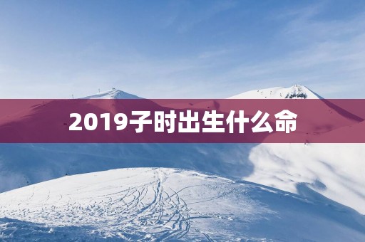 2019子时出生什么命