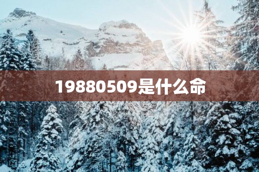 19880509是什么命