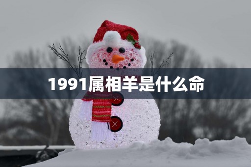 1991属相羊是什么命
