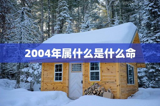 2004年属什么是什么命