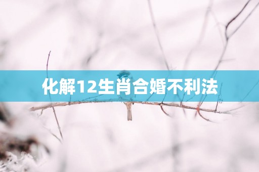 化解12生肖合婚不利法
