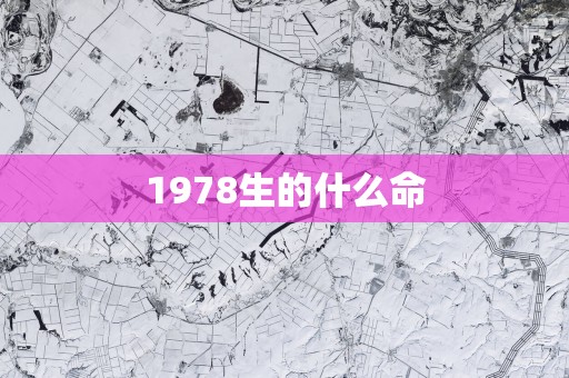 1978生的什么命
