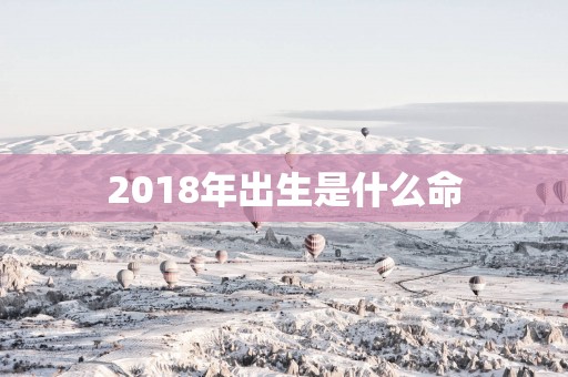 2018年出生是什么命