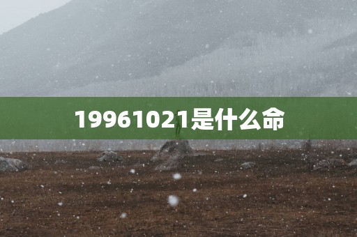 19961021是什么命