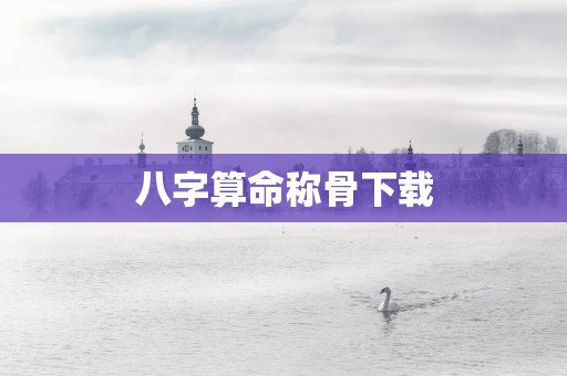 八字算命称骨下载