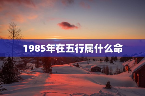 1985年在五行属什么命