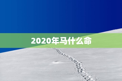 2025年马什么命