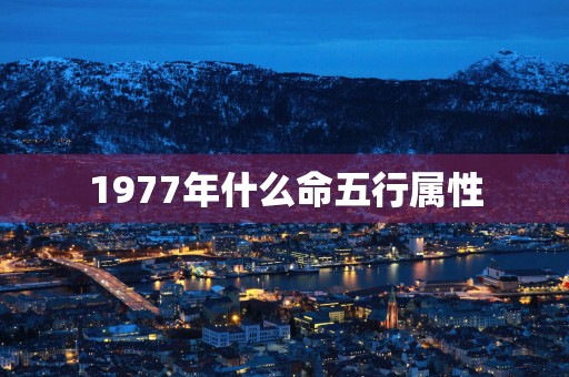 1977年什么命五行属性