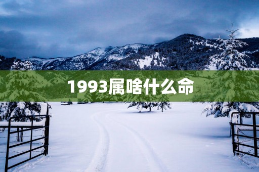 1993属啥什么命
