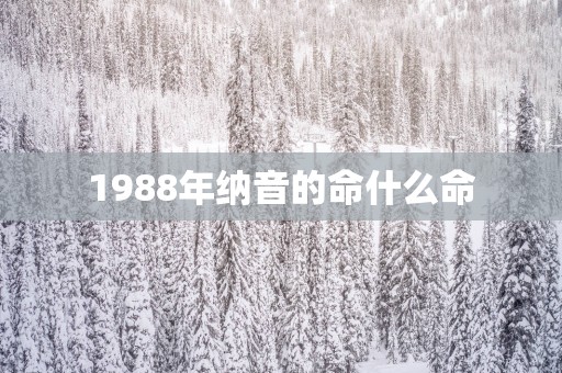 1988年纳音的命什么命