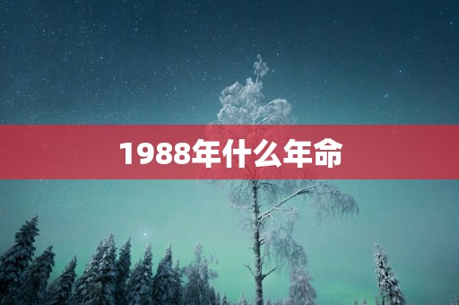 1988年什么年命