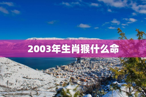 2003年生肖猴什么命