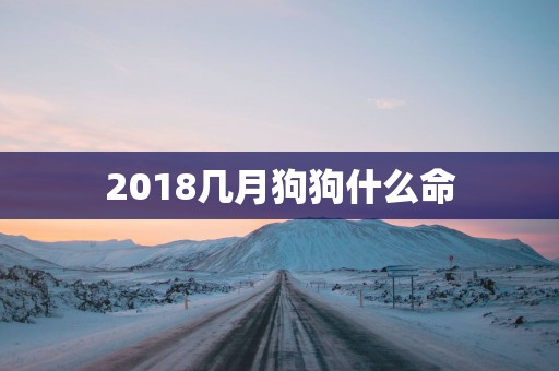 2018几月狗狗什么命