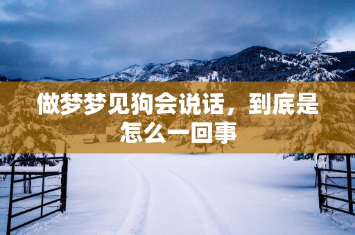 做梦梦见狗会说话，到底是怎么一回事